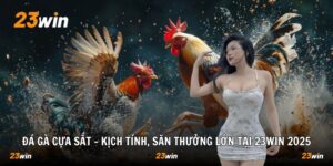 đá gà cựa sắt